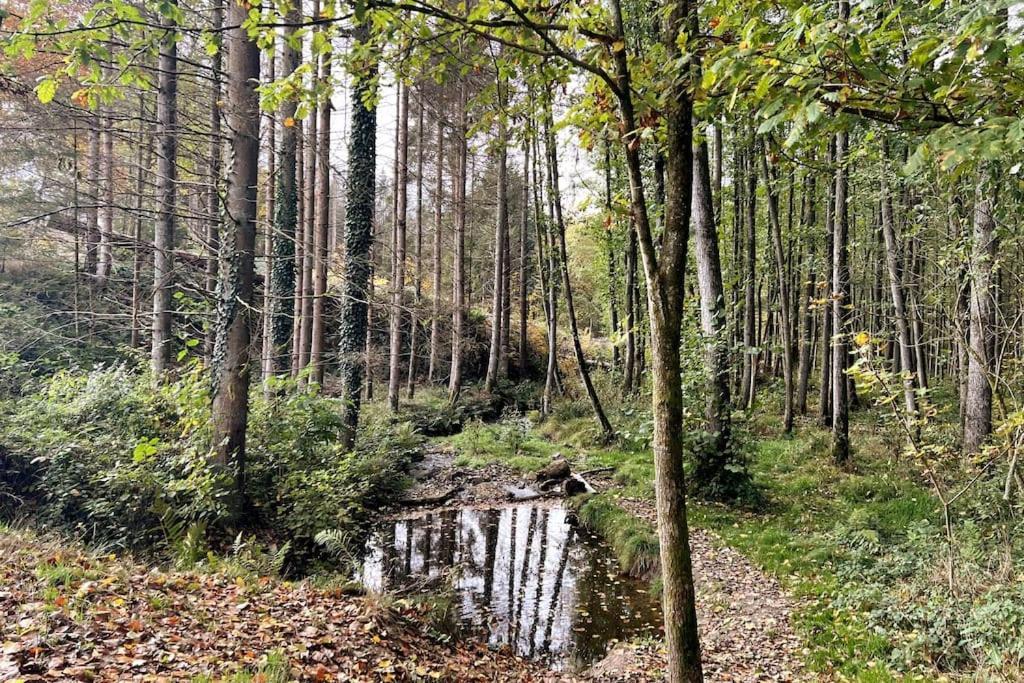 The Forest Retreat- Luxurioese Ferienwohnung Mit Privater Sauna แวร์เมลสเคียร์เคน ภายนอก รูปภาพ